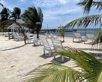 Treetops Hotel - Caye Caulker - Strand
