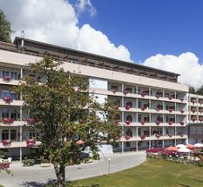 Arenas Resort Valaisia