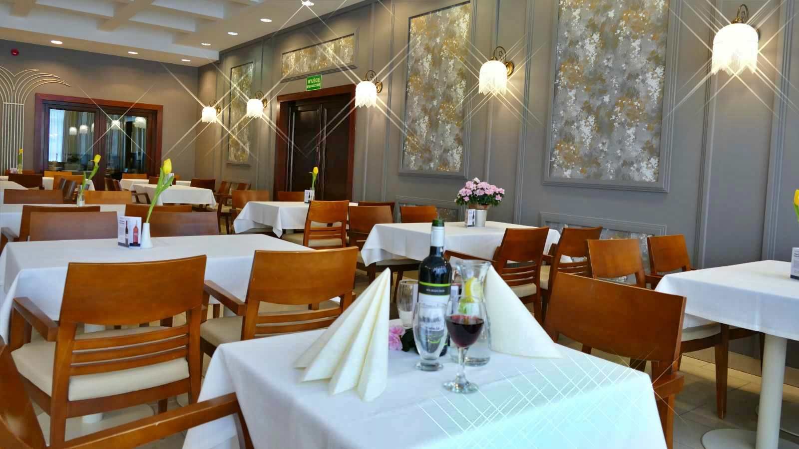Hotel Termy Pałacowe - Naleczow - Restaurant