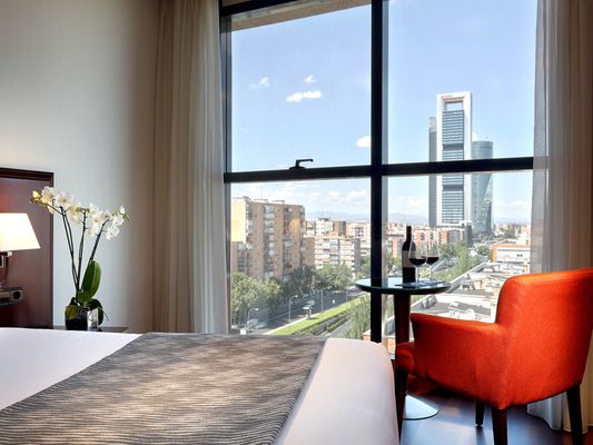 Hotel Vía Castellana - Madrid - Habitación