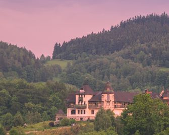 Willa Na Wzgórzu Wandy - Bad Reinerz - Gebäude