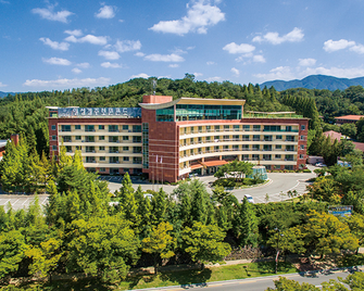 Gyeongju Ilsung Condo - Gyeongju - Budynek