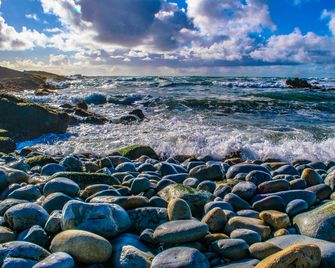 Monterey Pines Inn - Monterey