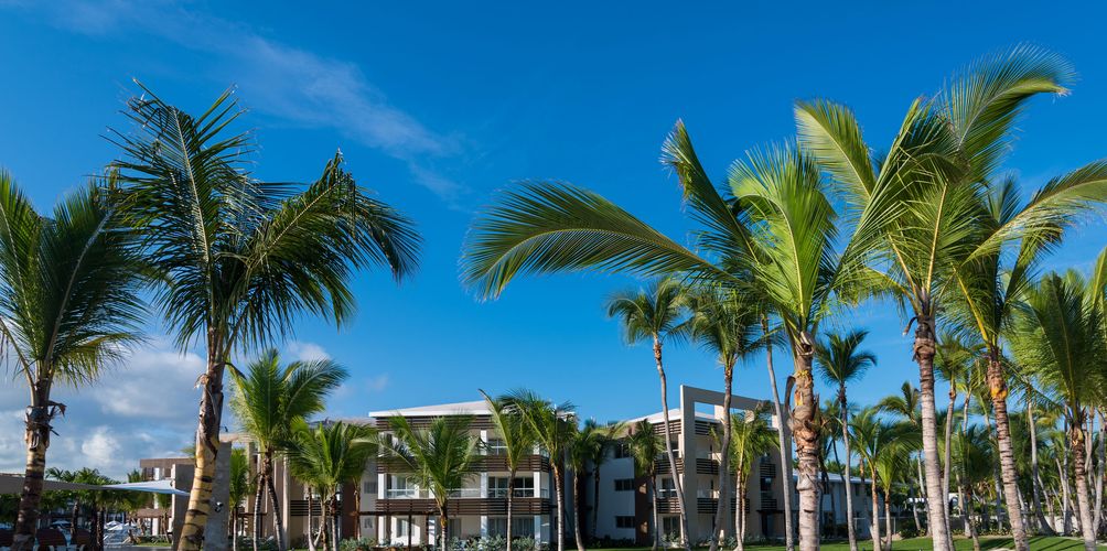 Ladder golf Ladder golf