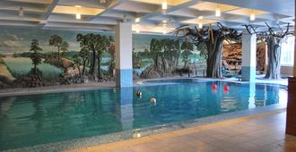 千禧酒店 - 高哈蒂 - 游泳池