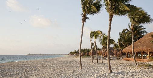 Finest Playa Mujeres by Excellence Group - Cancún - Playa