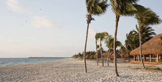 Finest Playa Mujeres by Excellence Group - Cancún - Beach