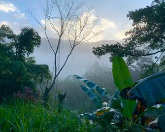 Portland Riverside Retreat - Port Antonio - Attractions