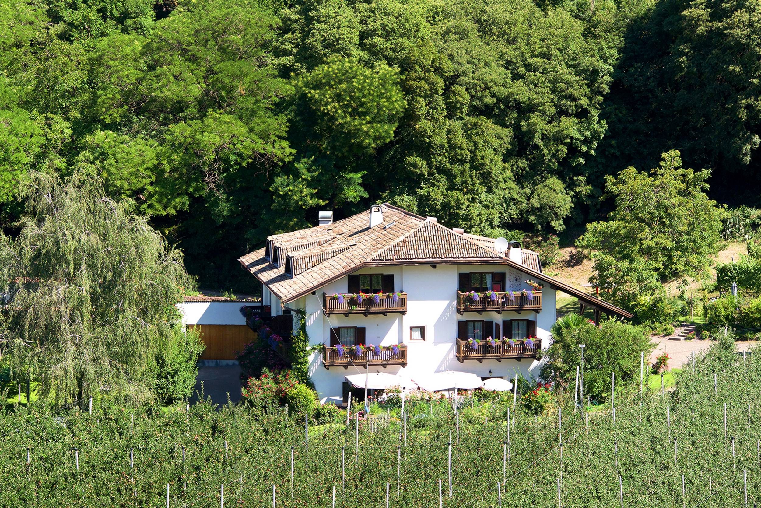 Bnb Garni Kreithof - Caldaro - Building