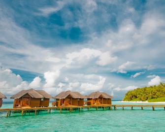 Fihalhohi Maldives - Fihalhohi - Piscina