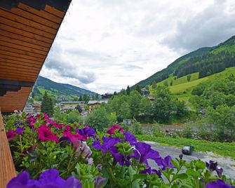 Pension Alpensport - Saalbach - Venkovní prostory