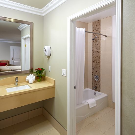 Bathroom view of Eden Roc Inn & Suites