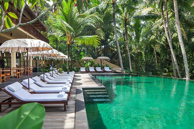 Komaneka at Rasa Sayang Ubud - אובוד - בריכה