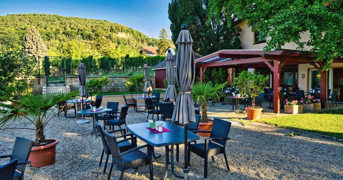 hotel tenner mandelring neustadt an der weinstraße