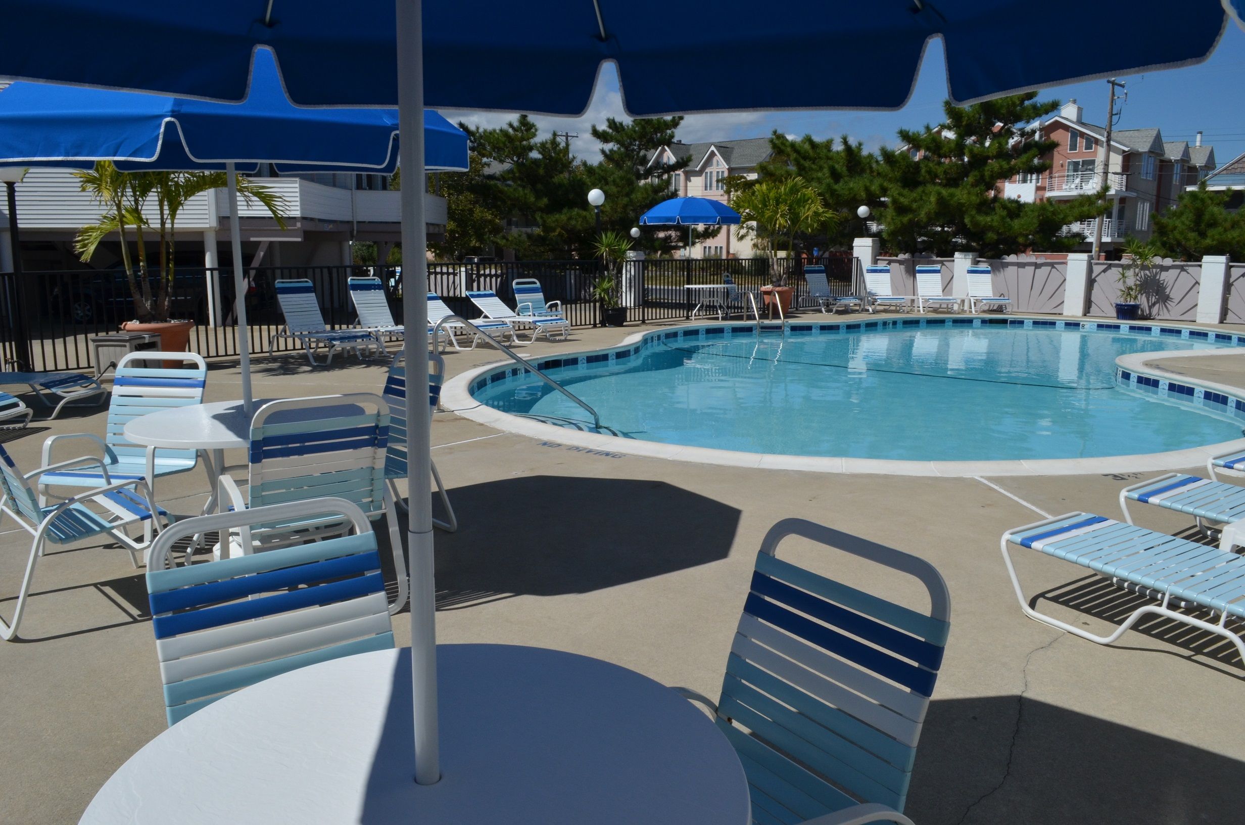 Adams Ocean Front Resort - דיואי ביץ' - בריכה