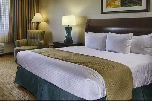 DoubleTree by Hilton Hotel Denver - Denver - Bedroom