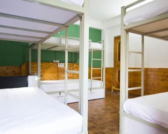 Backpacker Panda Manali - Manali - Bedroom