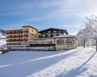 Hotel Harfenwirt - Wildschönau - Budova