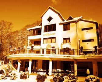 Pensiunea Magura - Baia Mare - Vista del exterior