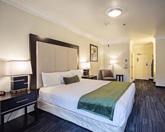 Arena Hotel - San Jose - Bedroom