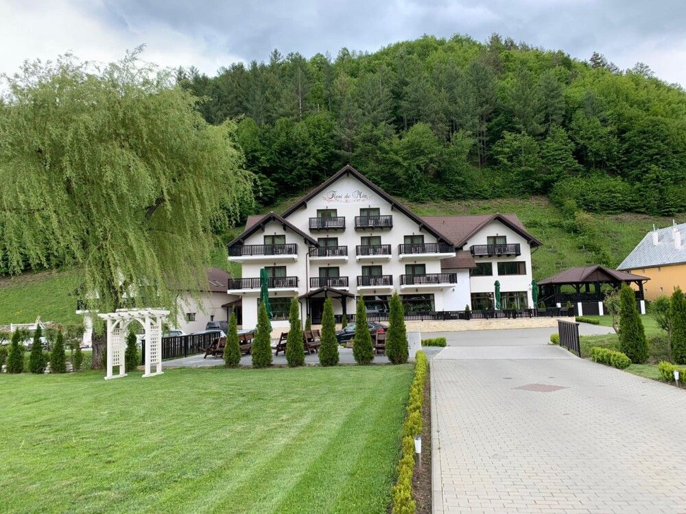 Flori De Mar 50 8 4 ZÄrneÈti Hotel Deals Reviews Kayak