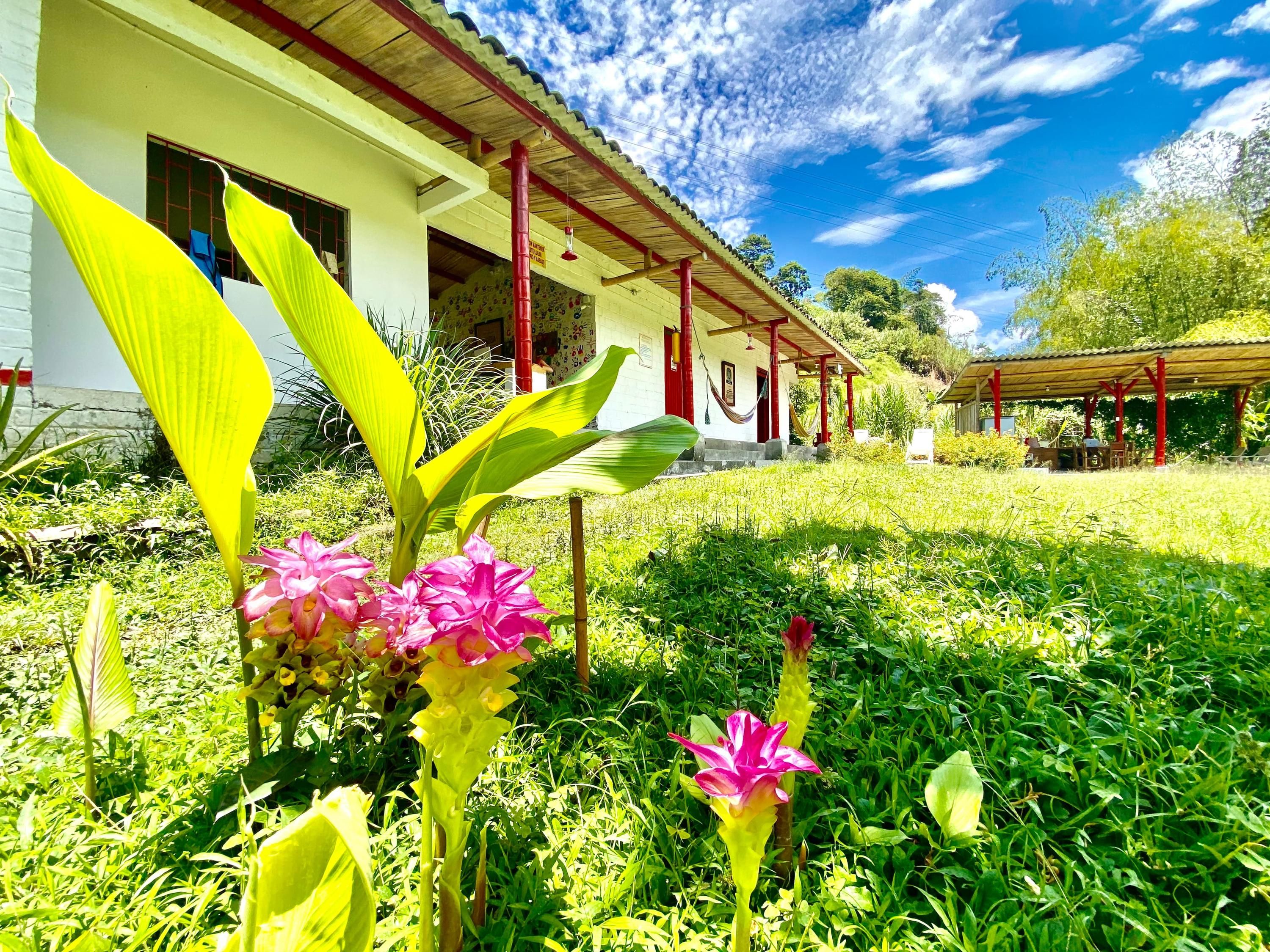 Hacienda Venecia Hostel - מאניזאלס - נוף חיצוני