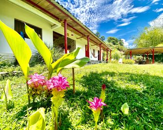 Hacienda Venecia Hostel - Manizales - Outdoors view