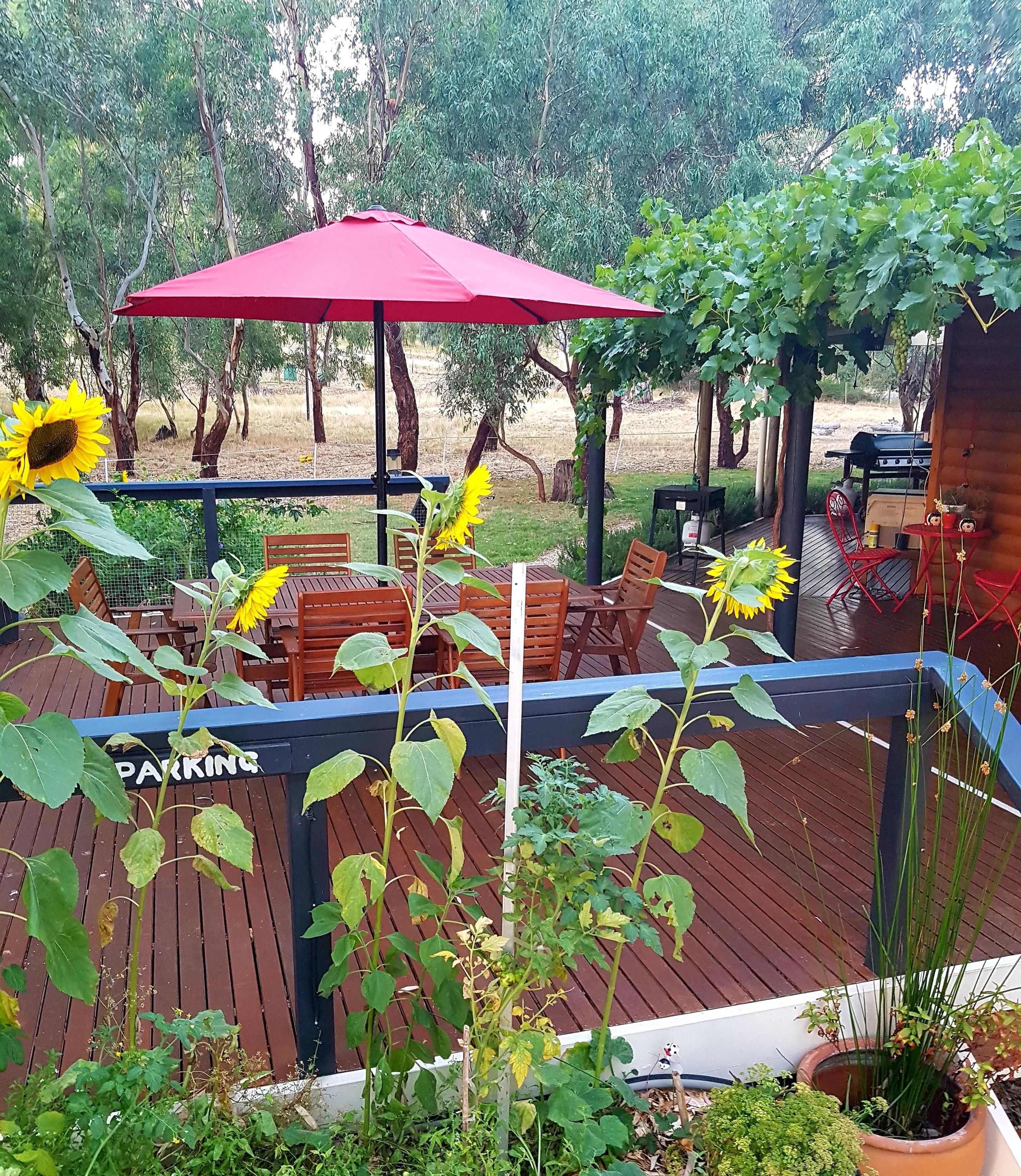 Friends at McLaren Vale - Mclaren Vale - Outdoor view