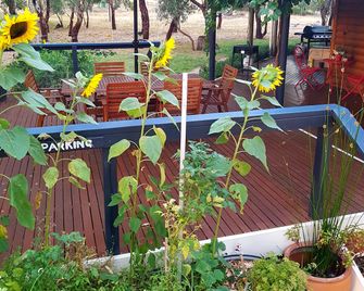 Friends at McLaren Vale - Mclaren Vale - Outdoor view