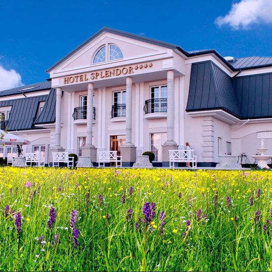 Hotel Splendor image 1
