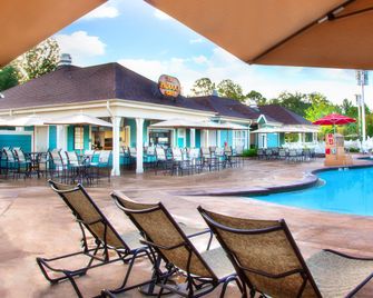 Disney's Saratoga Springs Resort & Spa - Lake Buena Vista - Pool