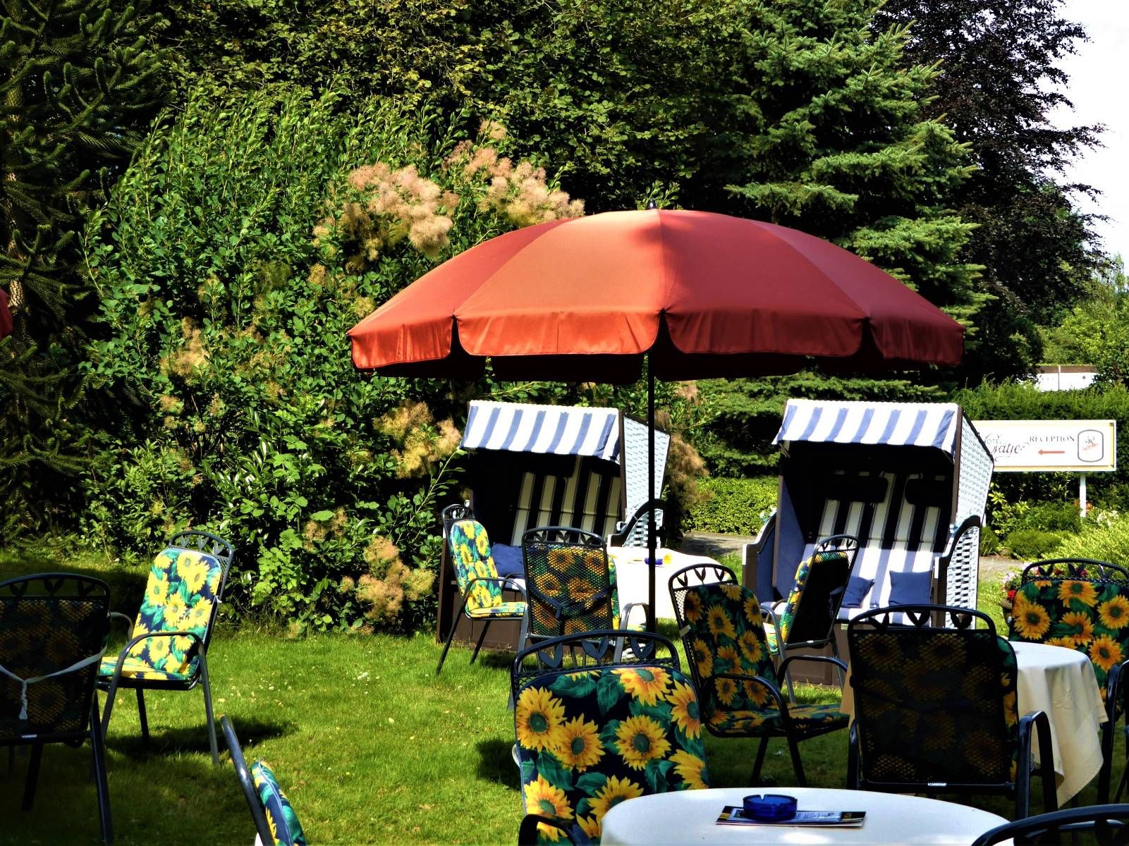 Hotel Villa Luise - Bad Rothenfelde - Venkovní prostory