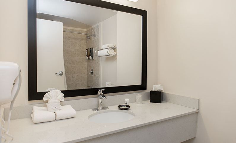 Chicago South Loop Hotel