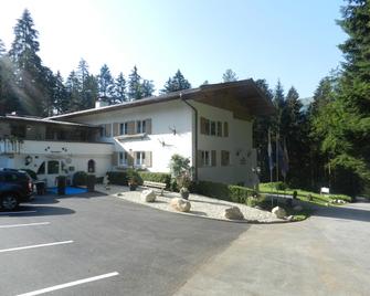 Pension und Appartements Hartkaiser - Ellmau - Bina