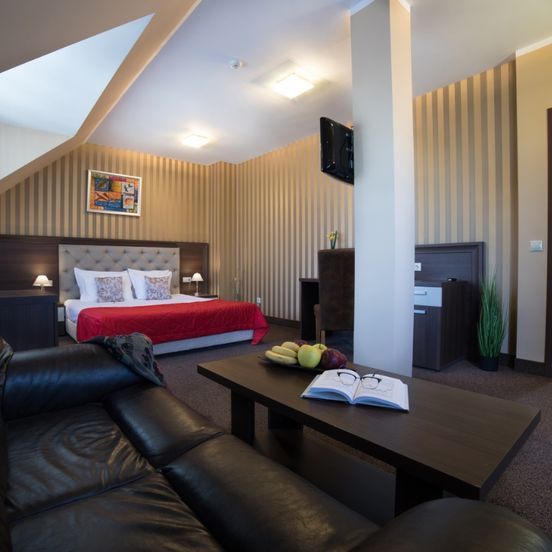 Business Hotel Plovdiv - Central Location