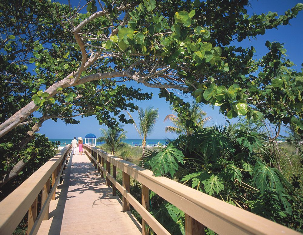 Marco Beach Ocean Resort