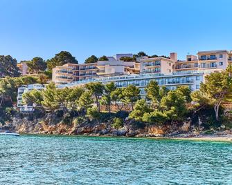 ألوا بالمانوفا باي - بالما نوفا - المظهر الخارجي