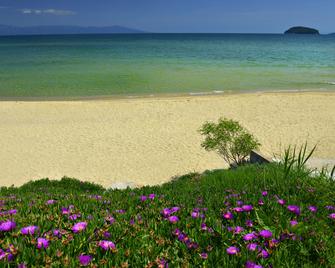 Amalia - Paleo Tsifliki - Playa