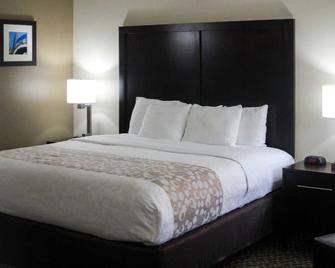 Comfort Inn Matteson - Chicago - Matteson - Ložnice