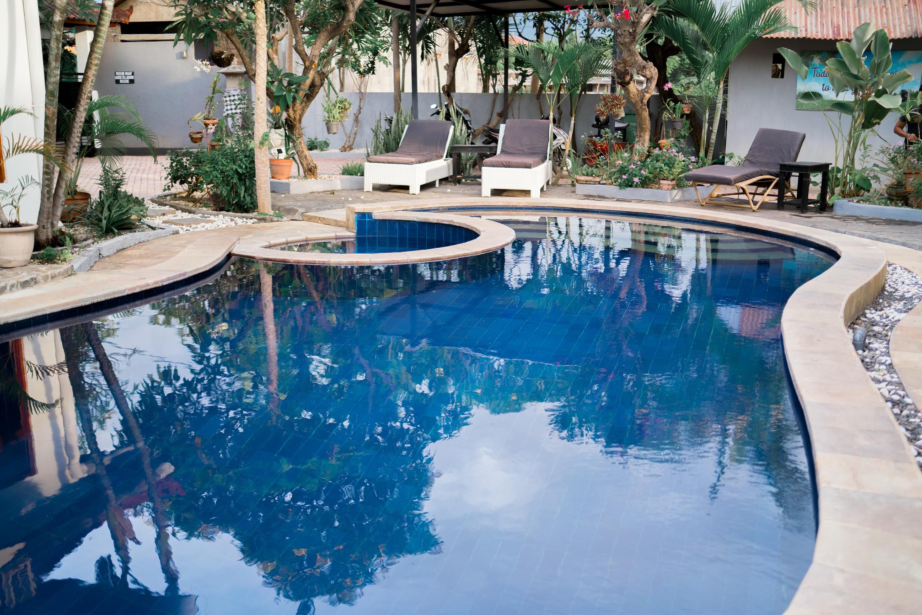 Lovina Vibes Hotel - Buleleng - בריכה