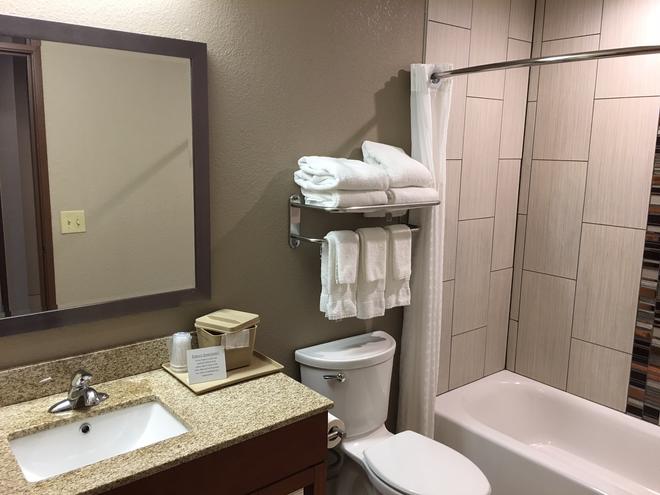 Comfort Inn Suites 80 1 0 7 Las Cruces Hotel Deals