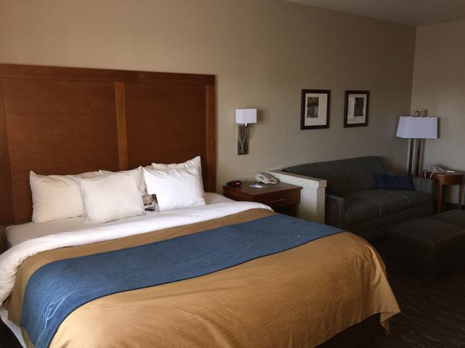 Comfort Inn Suites 80 1 0 7 Las Cruces Hotel Deals