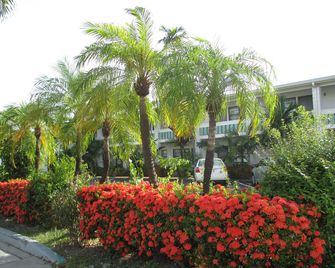Shalimar Motel - Miami - Vista del exterior