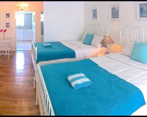 Bikini Hostel, Cafe & Beer Garden - Free Breakfast & Dinner