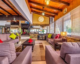 Cactus - לרנקה - לובי