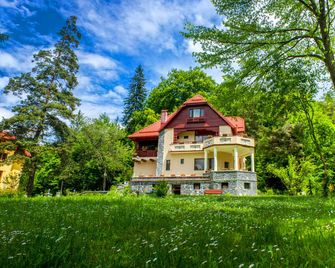 Pensiunea Boema - Sinaia - Building