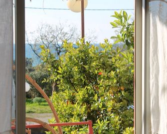 B&B Xenia - Patti - Servicio de la habitación
