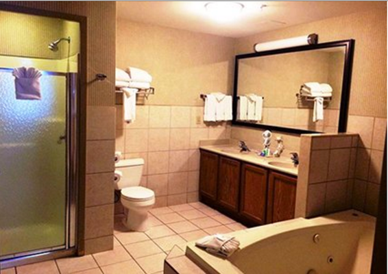 Comfort Suites Schiller Park Chicago Ohare Airport 56 1 0 1