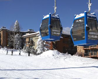 Lichenhearth - Snowmass Village - Servicio de la propiedad