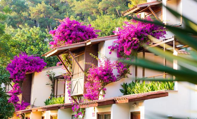 https www kayak com fethiye hotels hillside beach club 156259 ksp